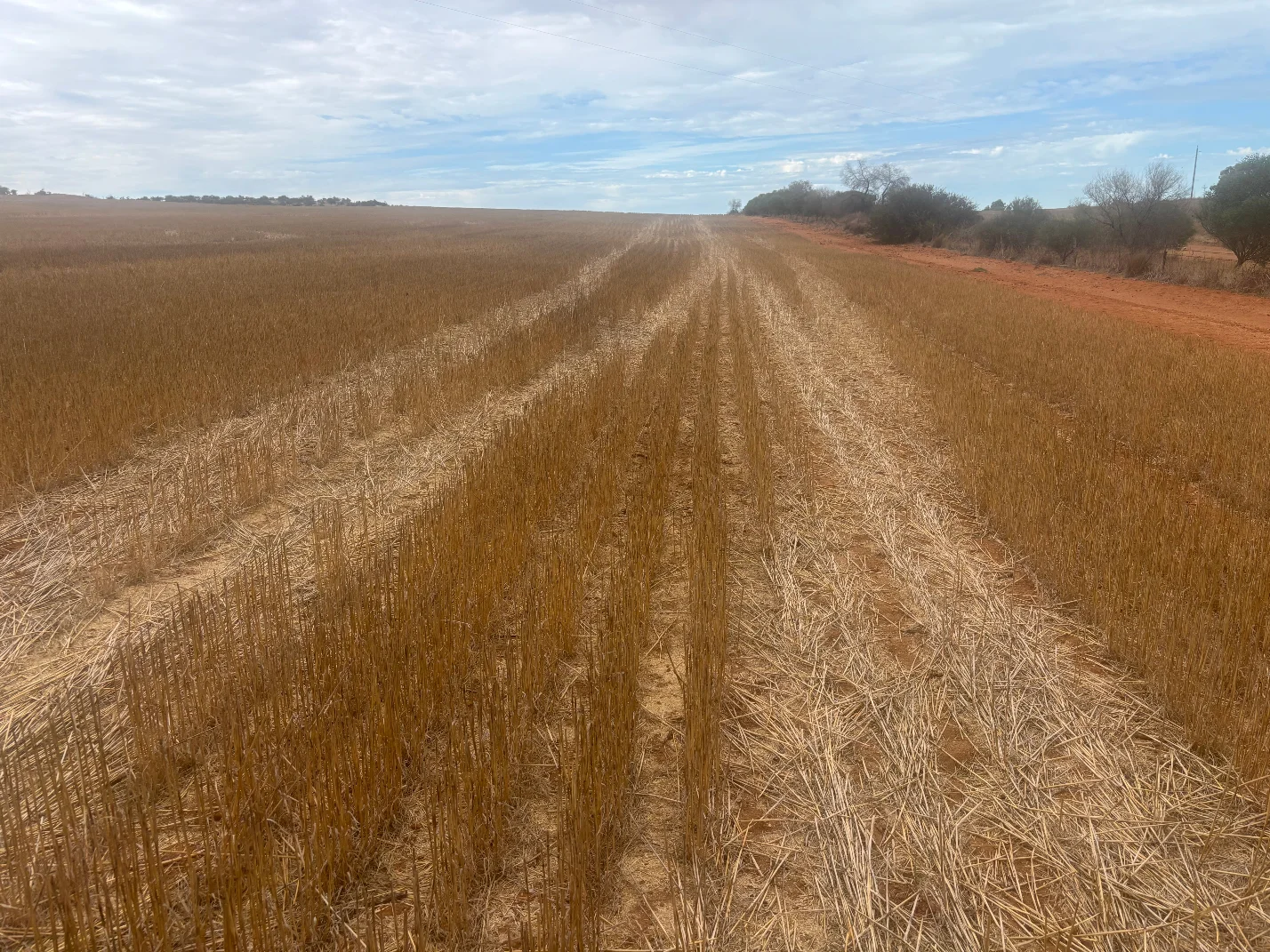 Additional image 12 of Lot 1 Giles Road, Moonyoonooka WA 6532