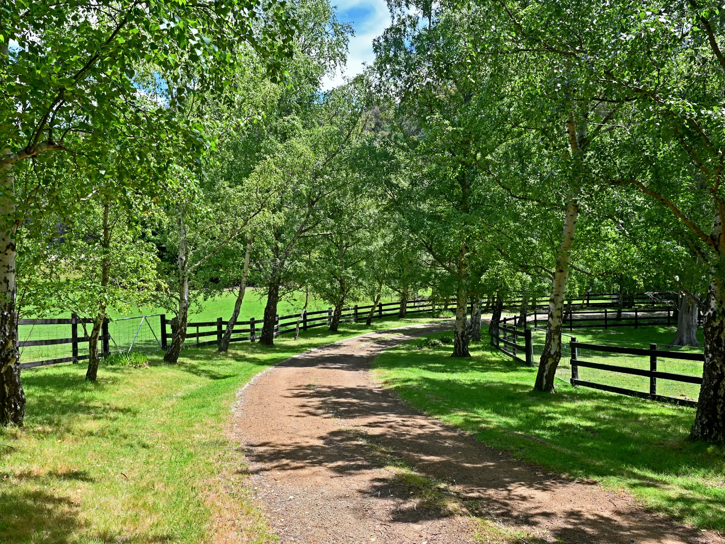 Additional image 2 of 92 Pelverata Road, Sandfly TAS 7150