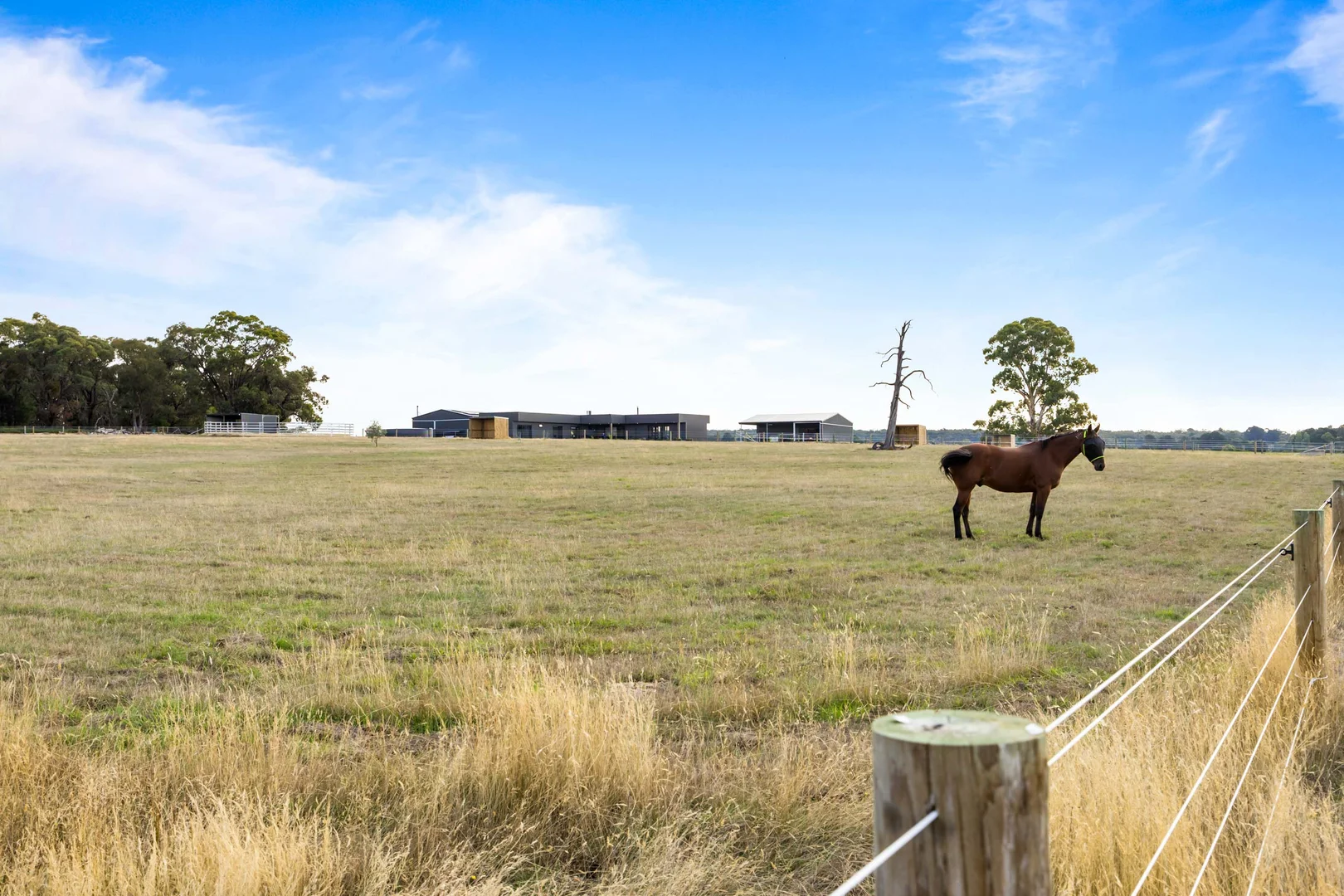 Additional image 30 of 19 Davies Court, Snake Valley VIC 3351