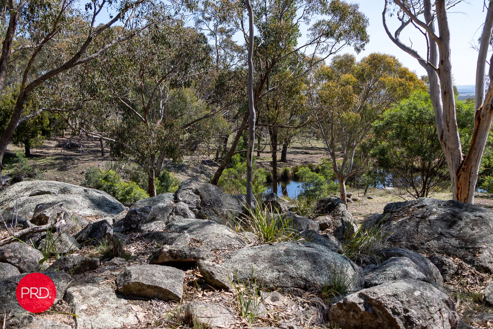 Additional image 30 of 141 Shepherd Road, Bywong NSW 2621