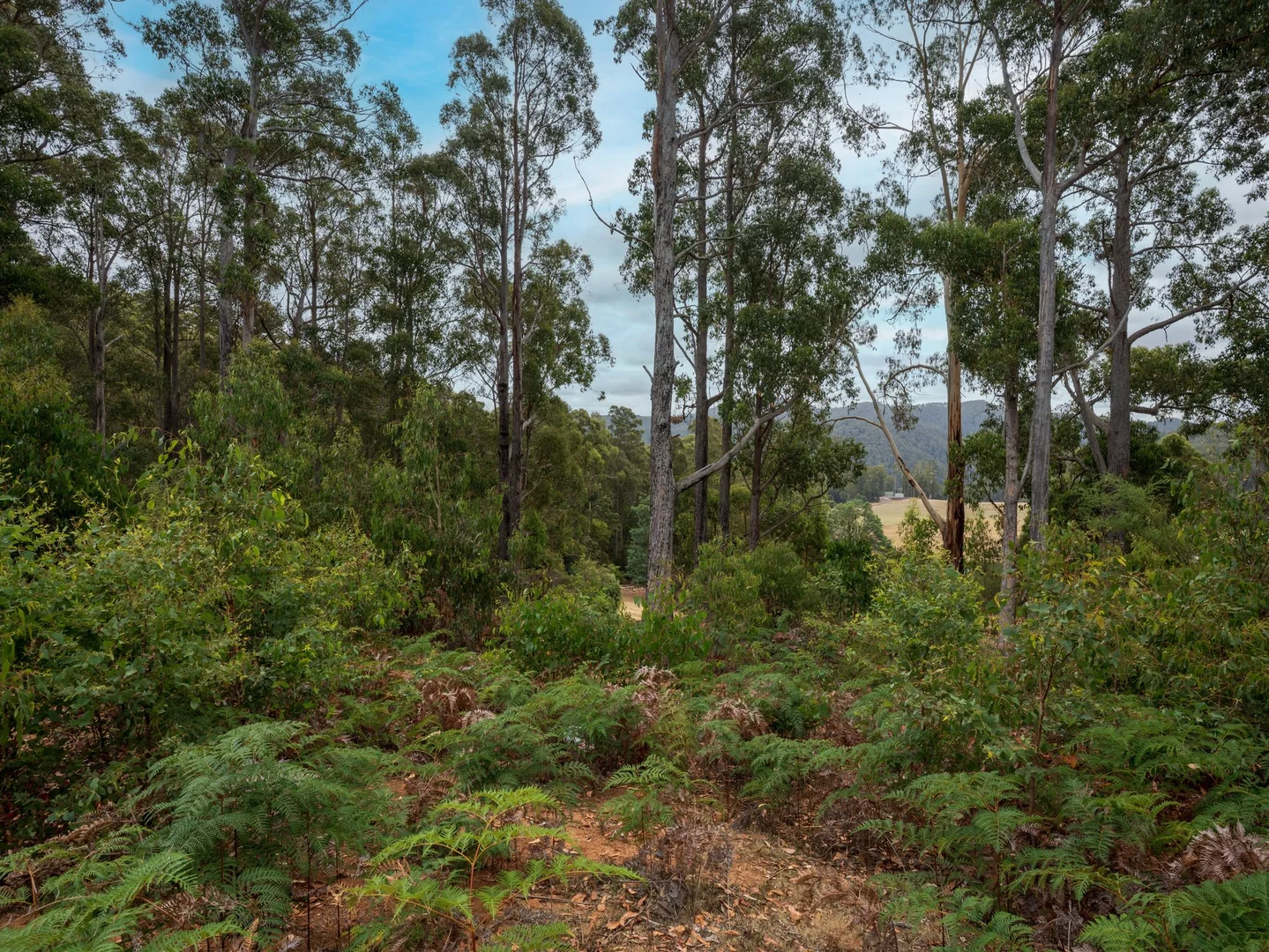Additional image 15 of 1015 West Kentish Road, West Kentish TAS 7306