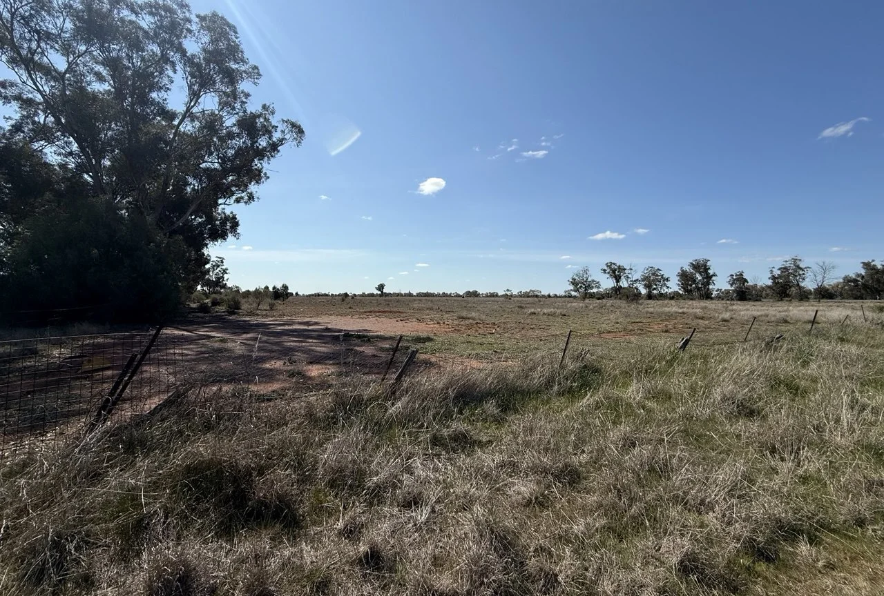 Additional image 3 of 44 Dows Lane, Peak Hill NSW 2869