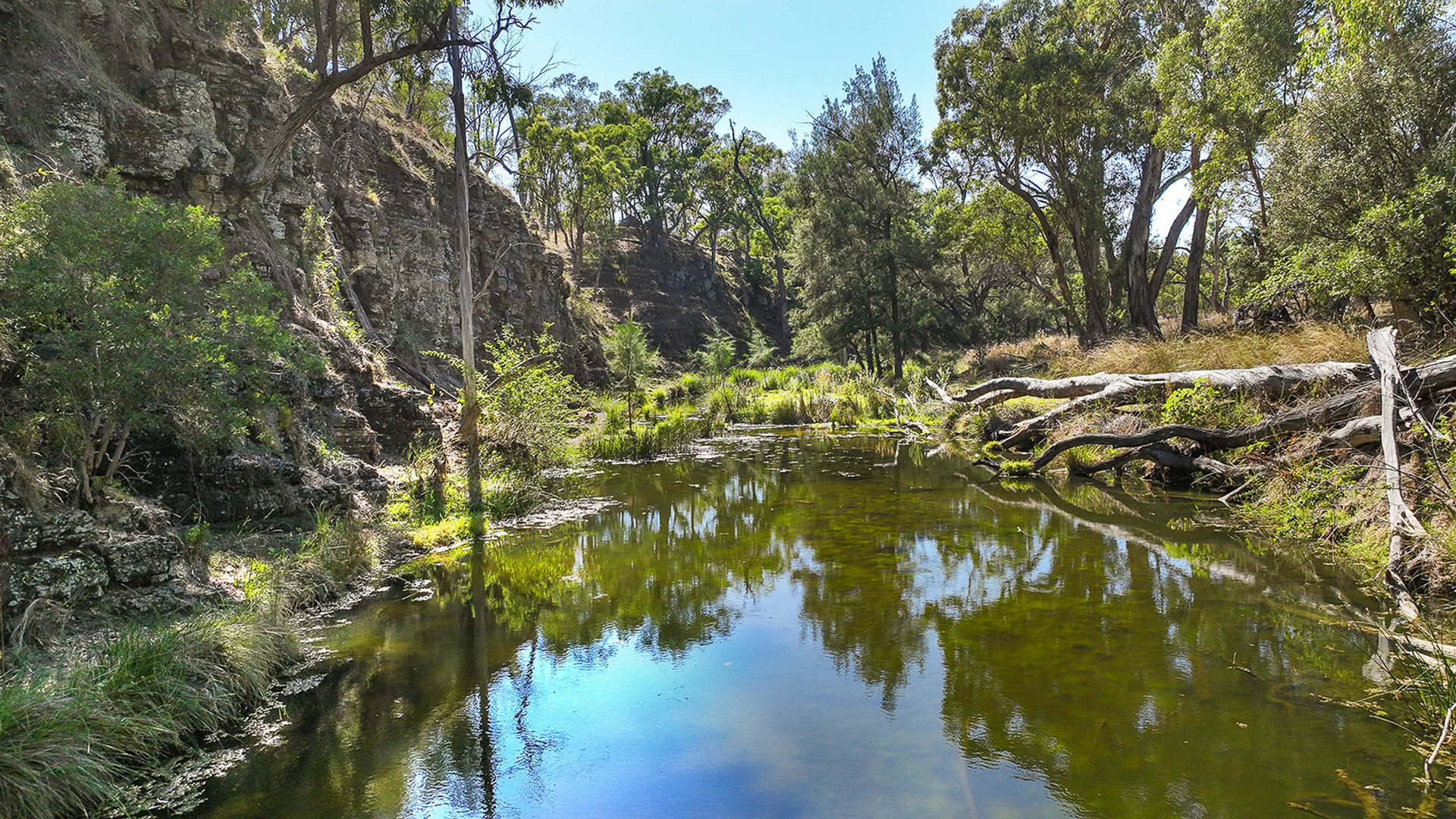 Additional image 25 of 6702A MANILLA ROAD, Red Hill NSW 2347