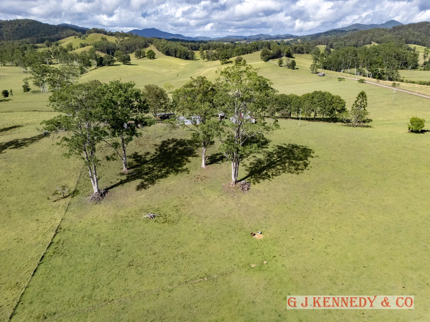 Additional image 6 of 223 Bakers Creek Road, Taylors Arm NSW 2447