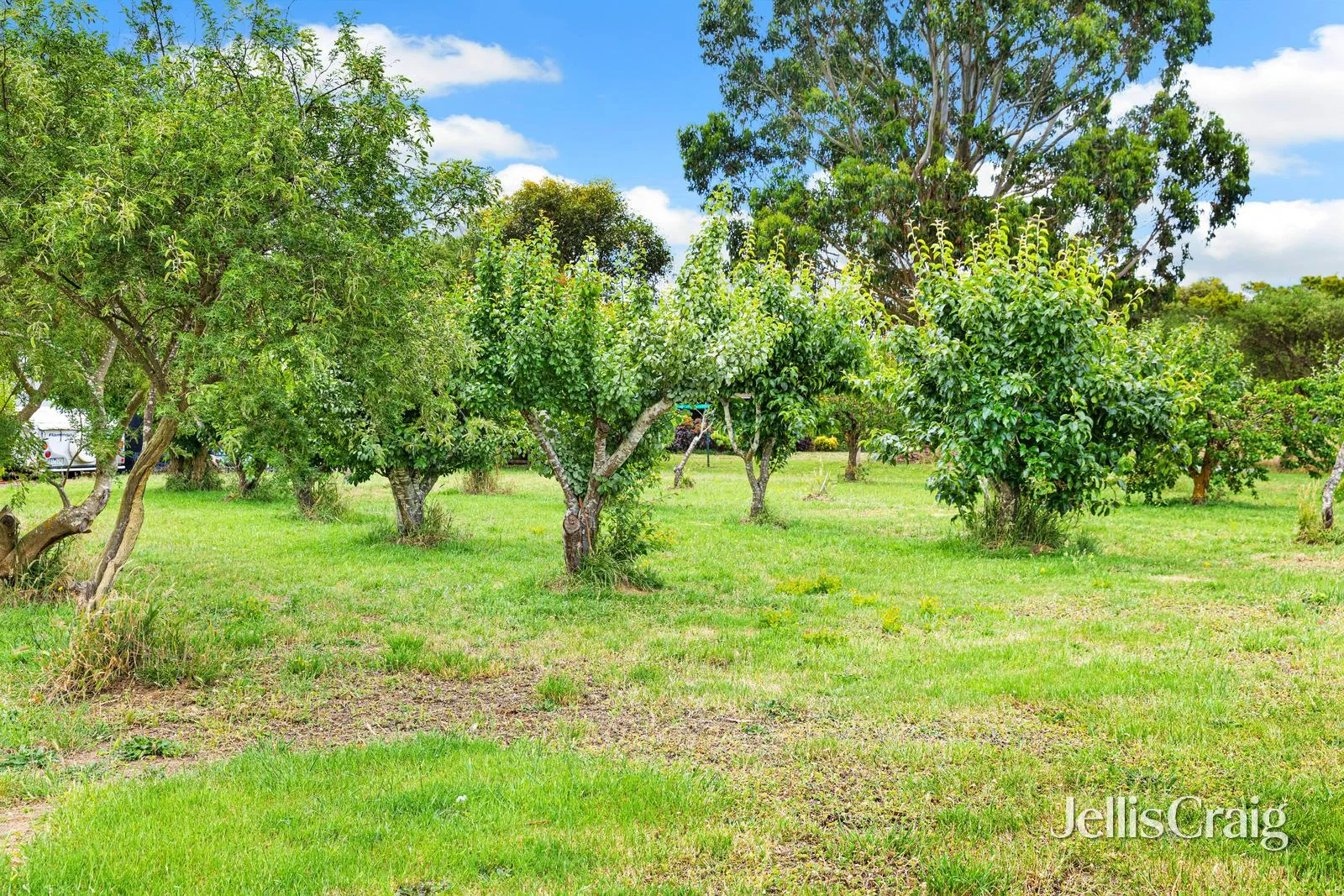 Additional image 16 of 1188 Beaufort Waubra Road, Waubra VIC 3352