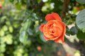 Additional image 46 of 2431 Shoreline Dr, Napa, CA, 94558