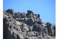 Additional image 28 of 115 Lake Almanor West Dr, Chester, CA, 96020