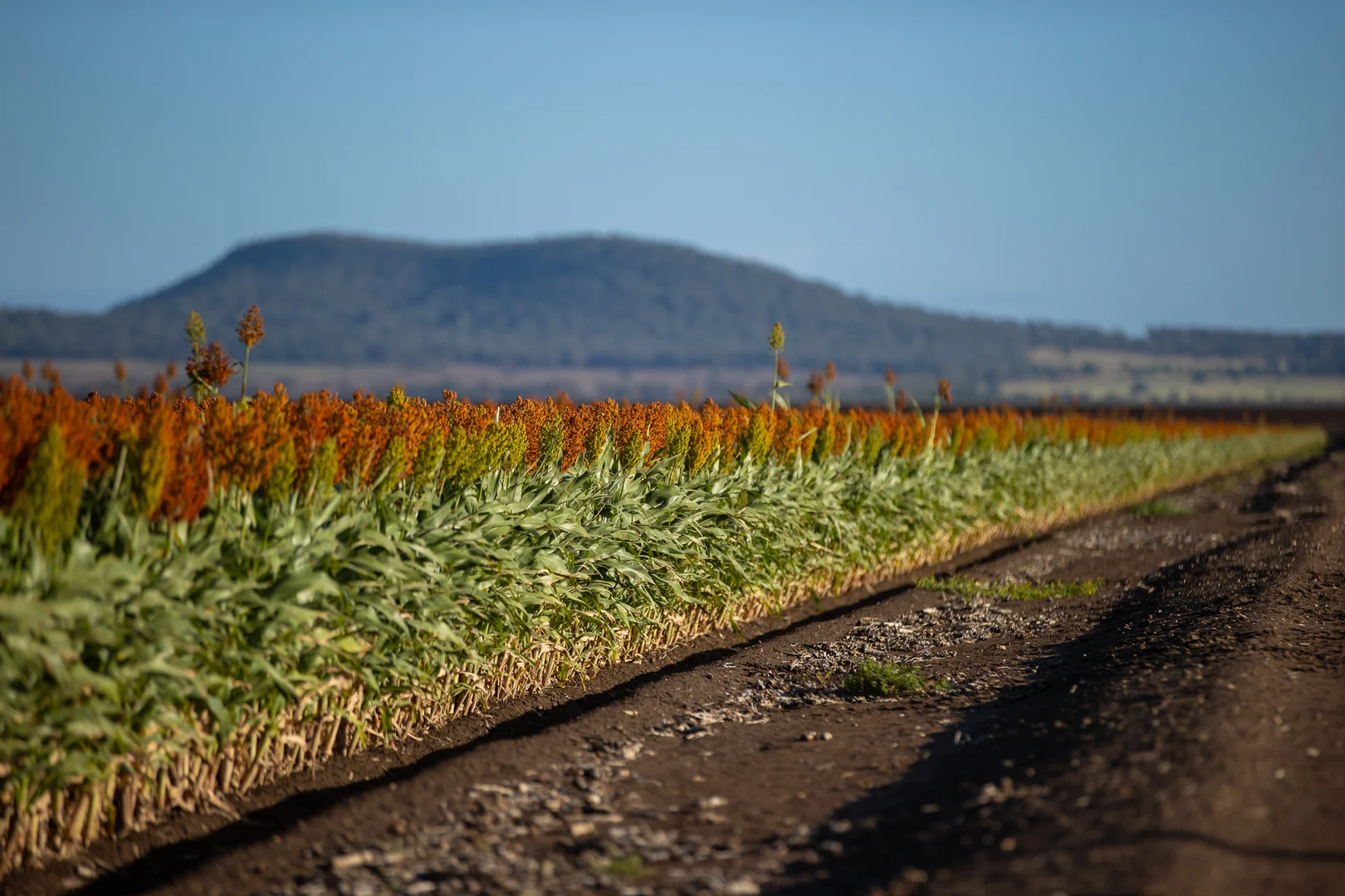 Additional image 11 of Breeza NSW 2381