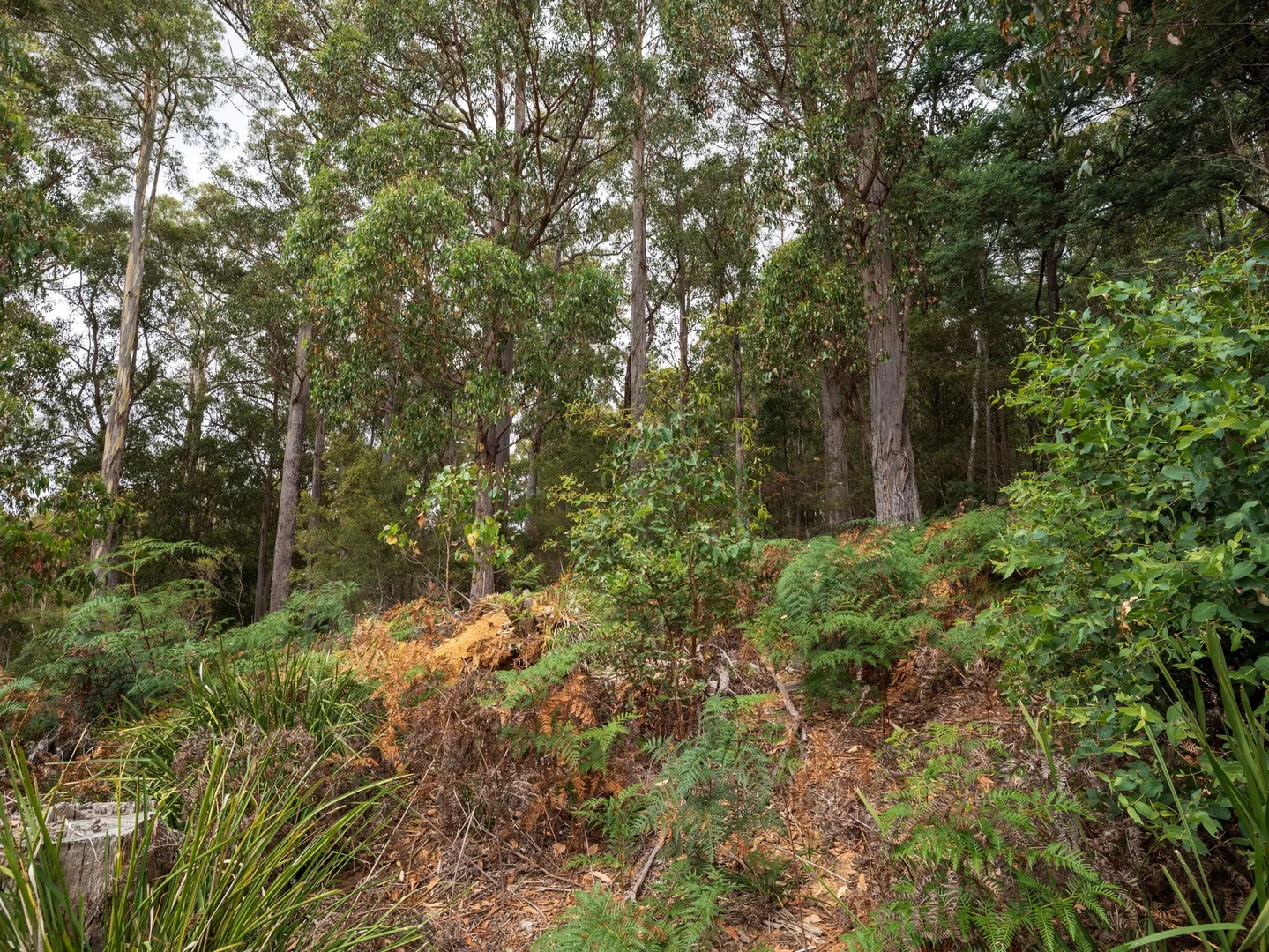 Additional image 11 of 1015 West Kentish Road, West Kentish TAS 7306