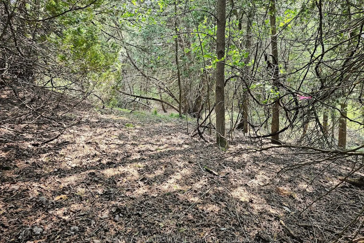 Additional image 6 of 0000 Cedarstone Road