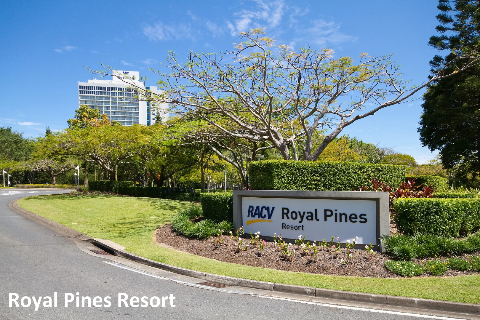 Additional image 24 of 1/29-31 Golden Palms Court, Ashmore QLD 4214