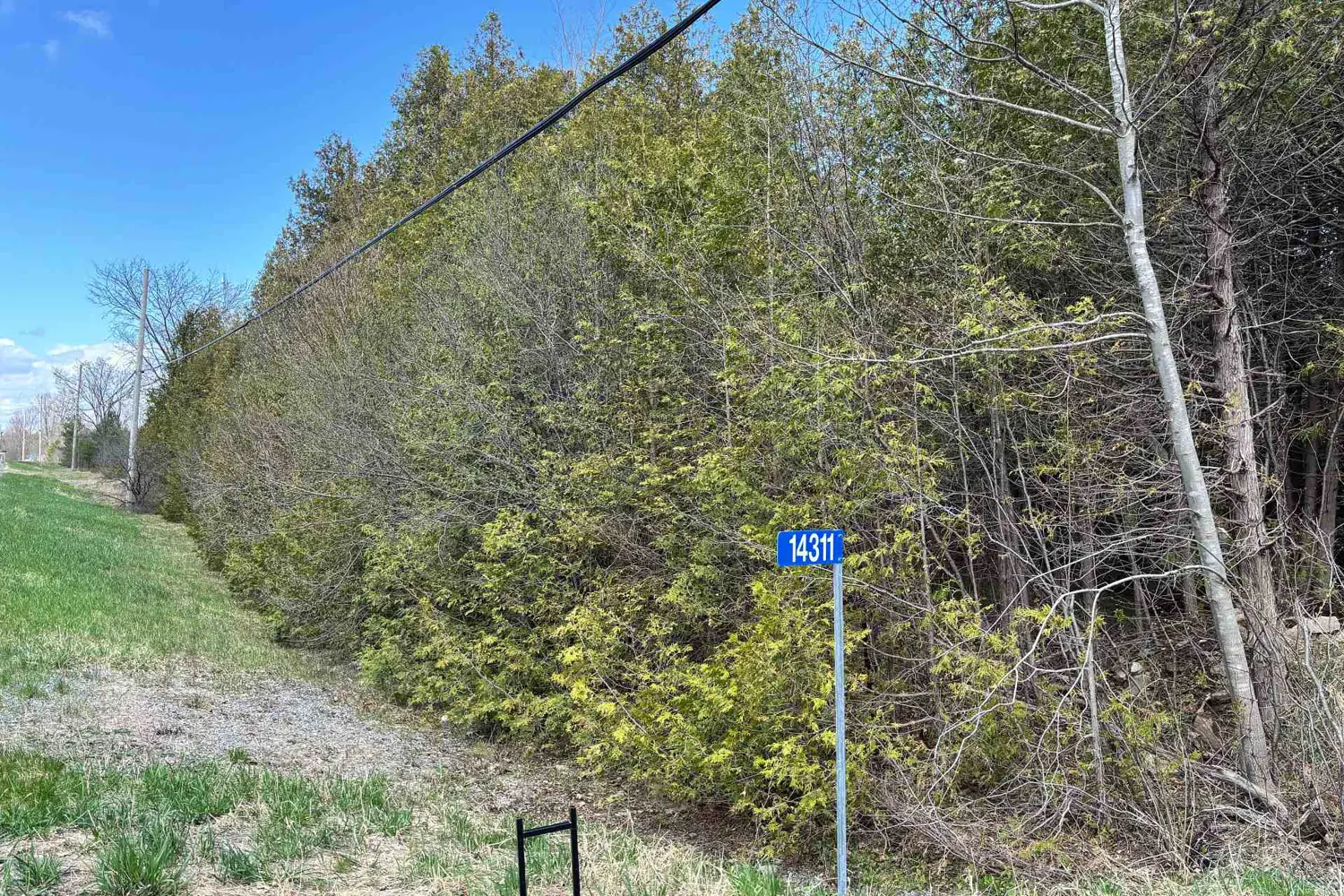 14311 County 15 Road photo 4