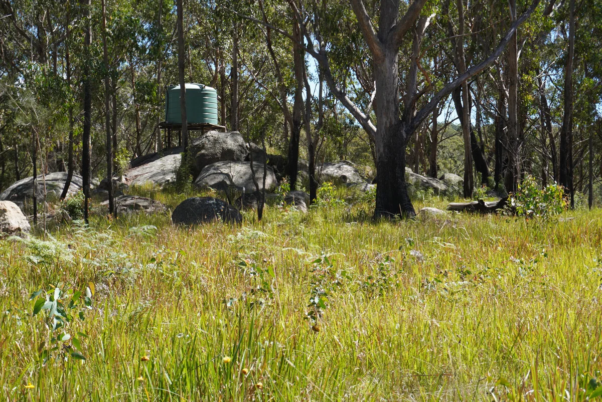 Additional image 21 of 1293 Mount Lindesay Road, Tenterfield NSW 2372