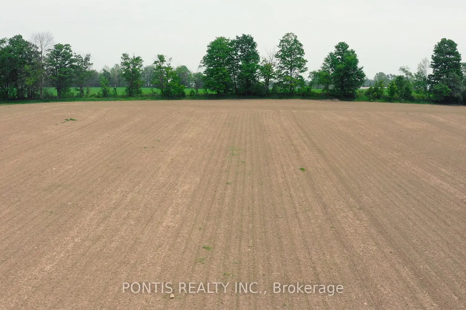 Additional image 11 of 423769 Concession Road 6