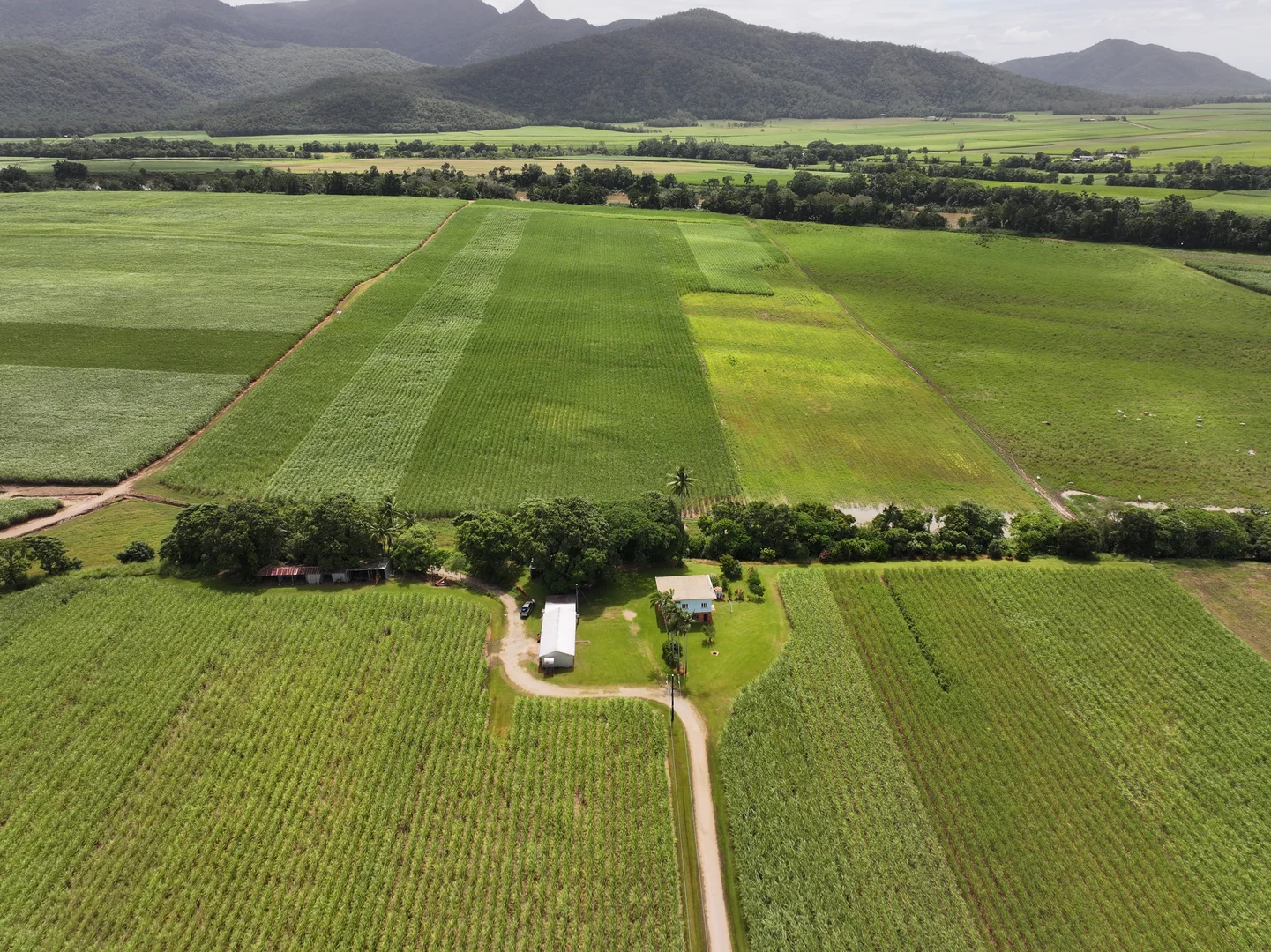 Additional image 6 of 962 Abergowrie Road, Trebonne QLD 4850