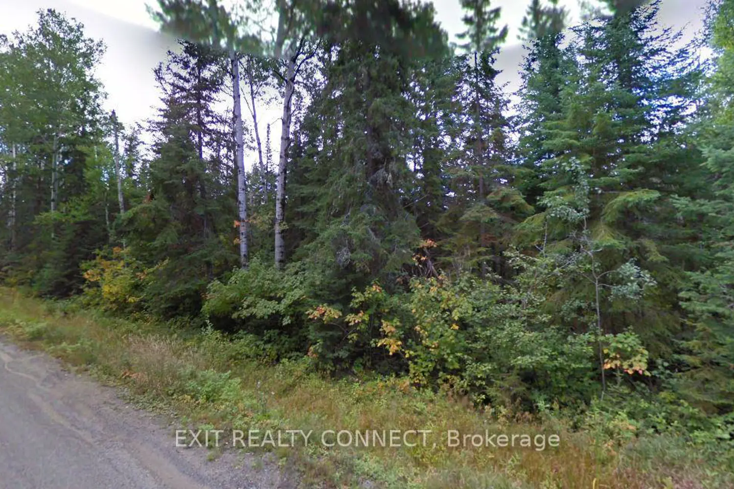 0 Kenogami Lane photo 2