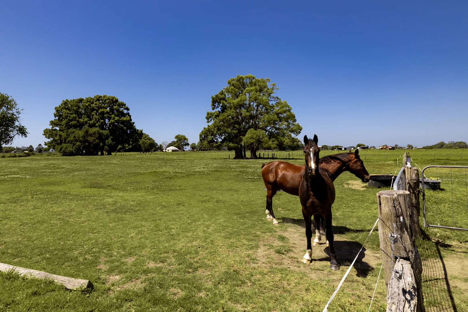 Additional image 5 of 1076 Macleay Valley Way, Bellimbopinni NSW 2440
