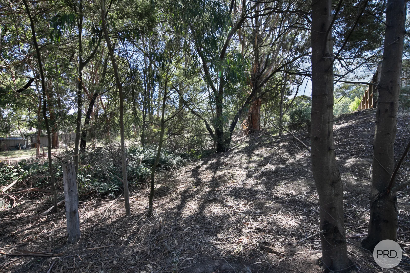 Additional image 13 of 3 Barkly Street, Buninyong VIC 3357