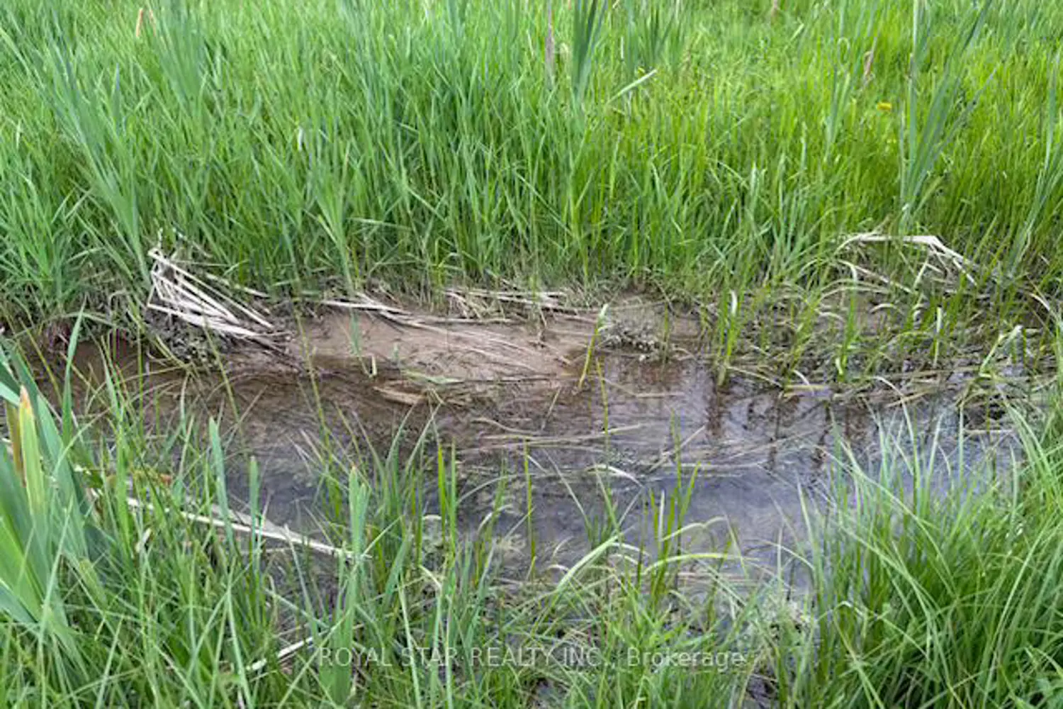Additional image 8 of 104264 Grey Road 18