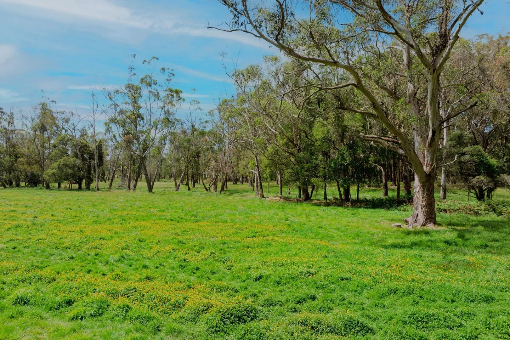 Additional image 9 of 1180 Sheepwash Road, Fitzroy Falls NSW 2577