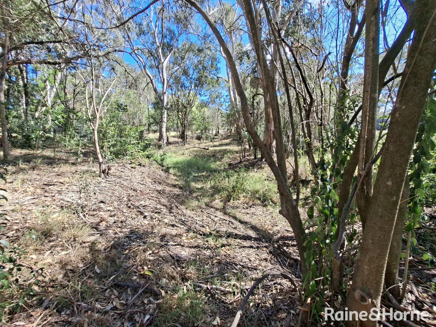 Additional image 8 of 70-76 Goddard Street, Coolah NSW 2843