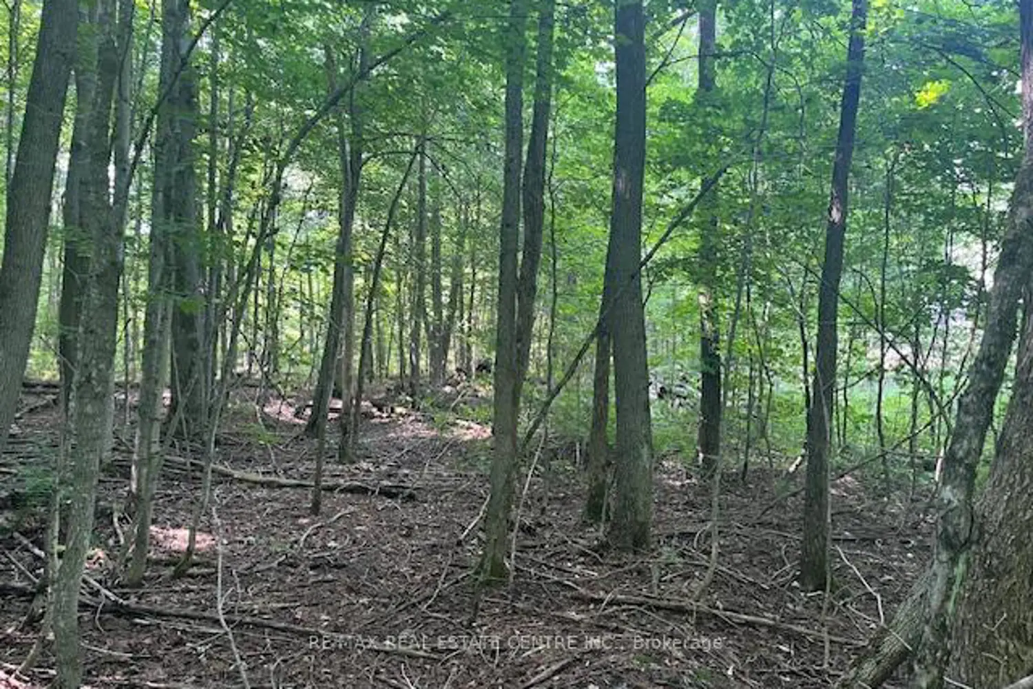Additional image 17 of Pt Lt44 Chatsworth 24 Road