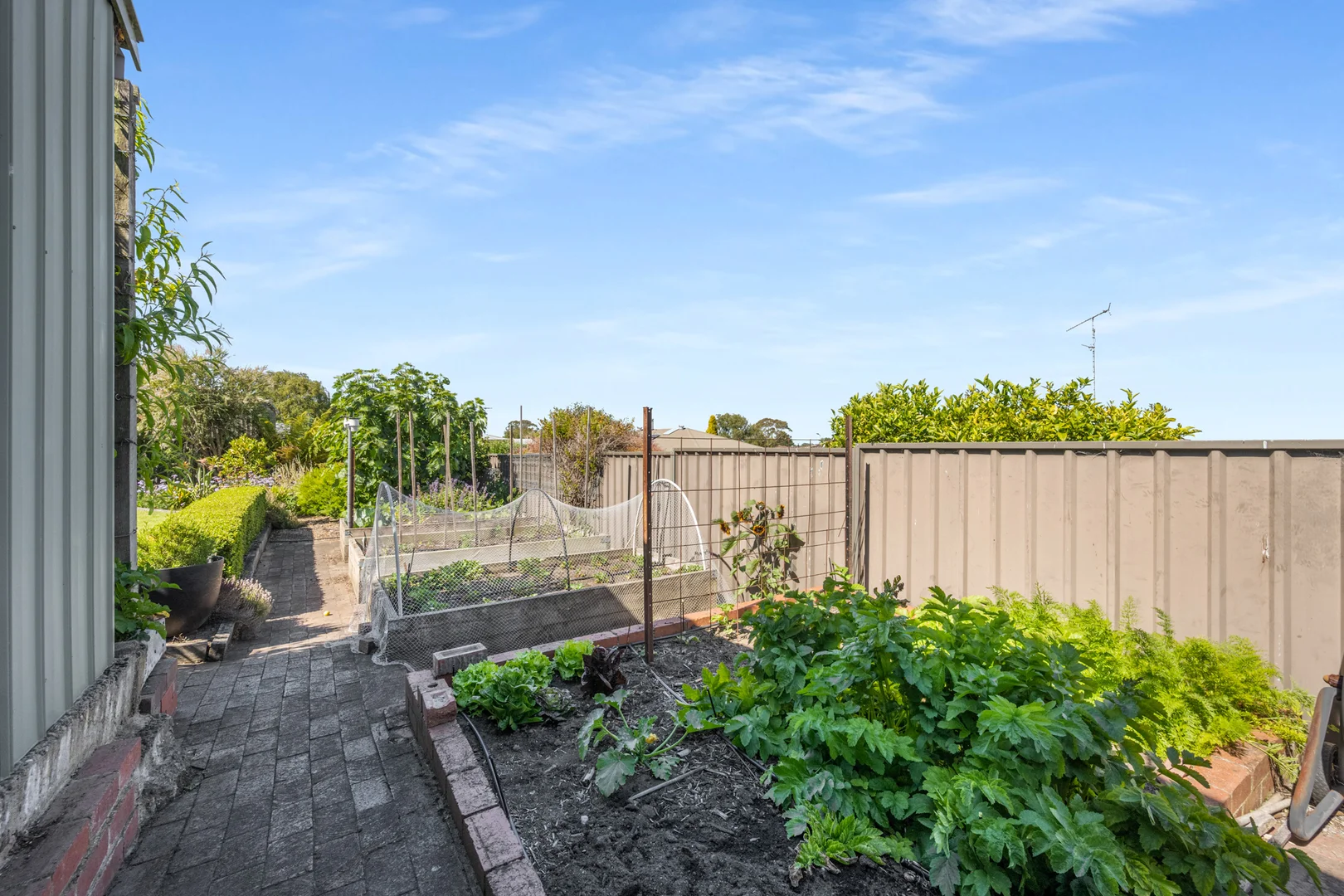 Additional image 20 of 11 Ibis Street, Mount Gambier SA 5290