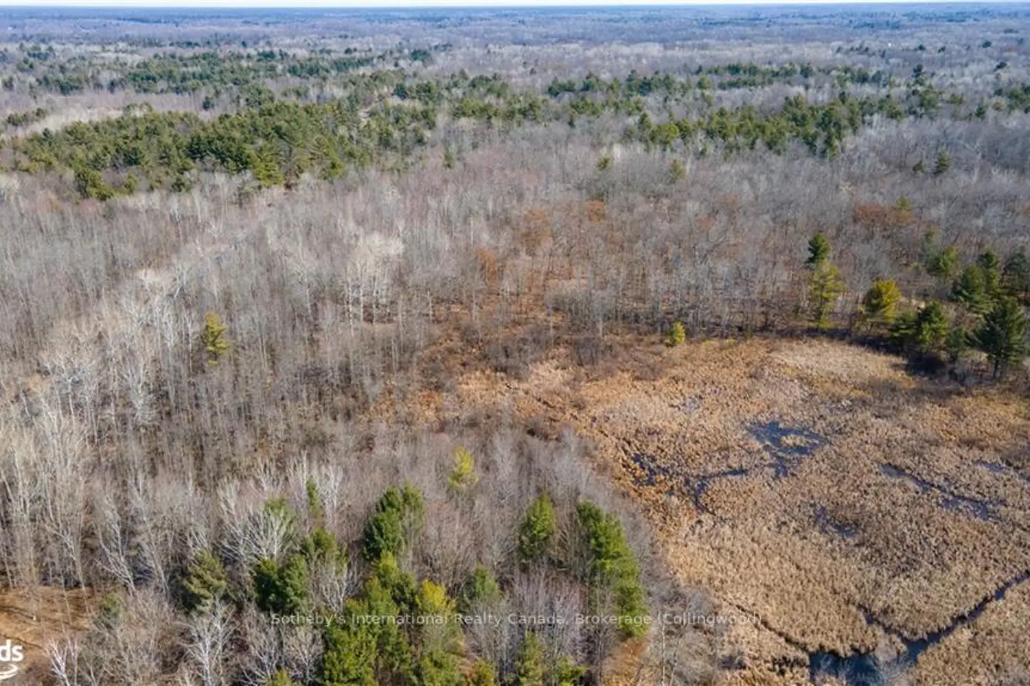 3105 Narrows Road photo 4
