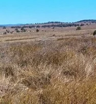 Lot 303 Raleigh Road, Silver Spur QLD 4385