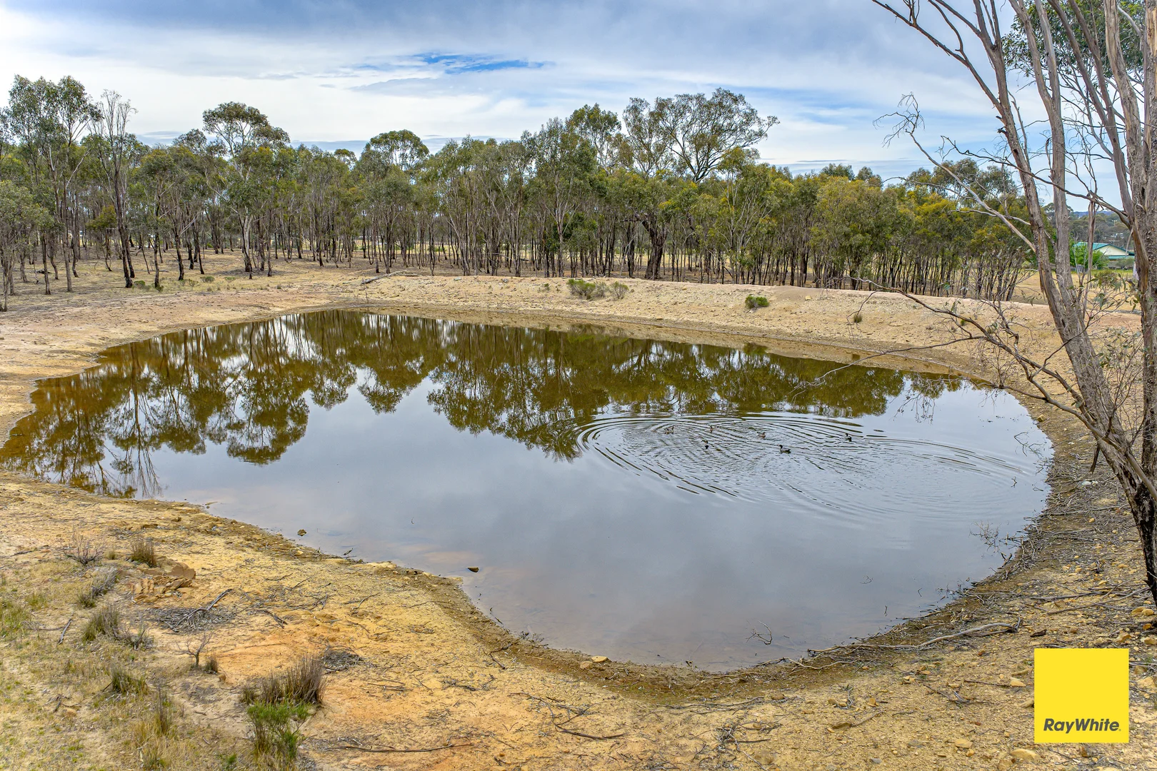 Additional image 3 of 251 Knowsley-Barnadown Road, Axedale VIC 3551