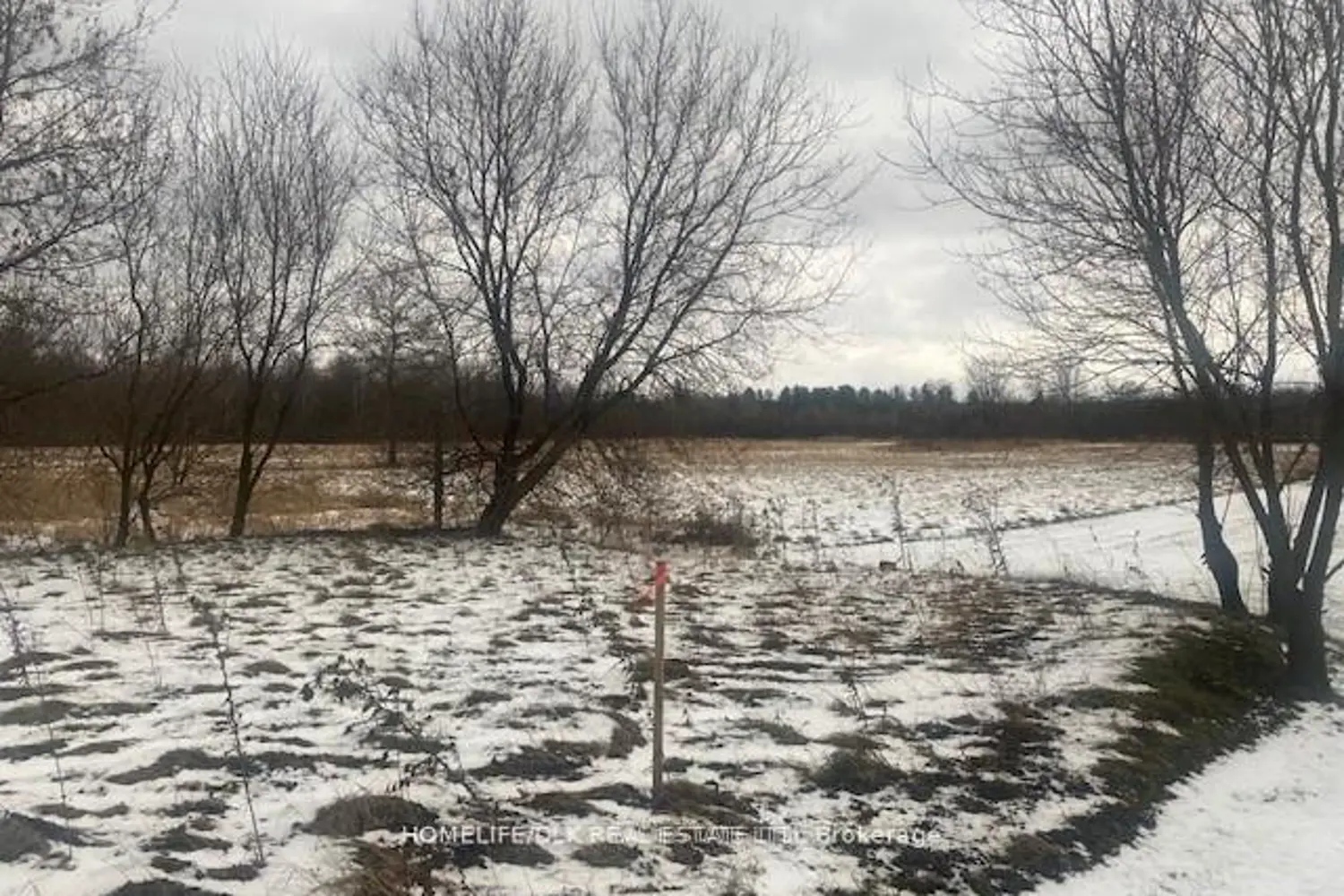 Additional image 7 of 8875 Cty Rd 15 Road