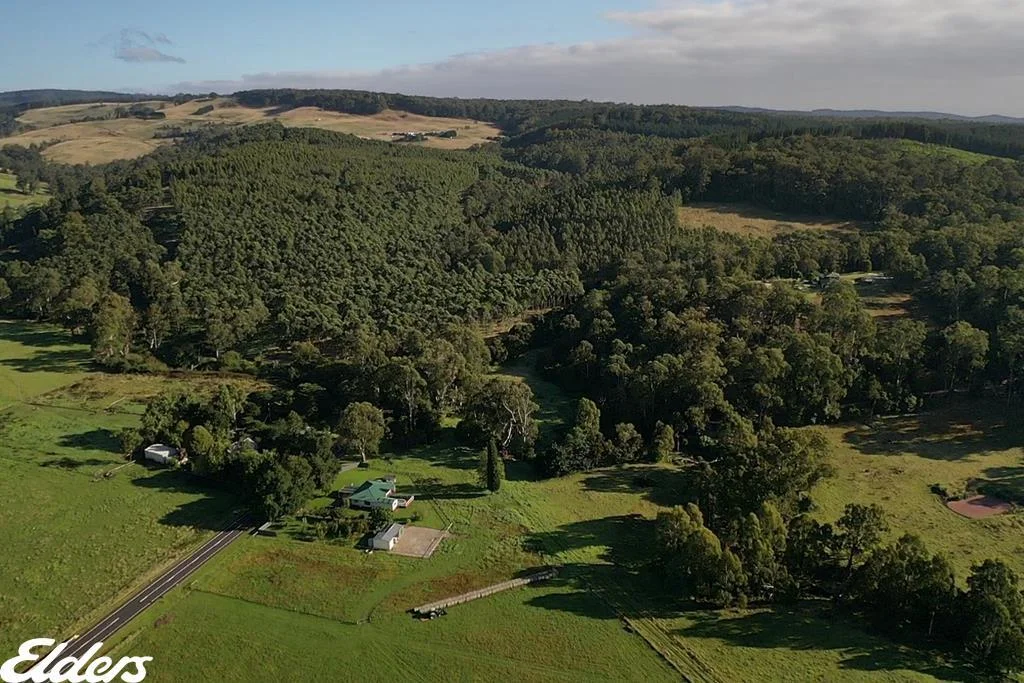 Additional image 15 of 4229 Hyland Highway, Won Wron VIC 3971