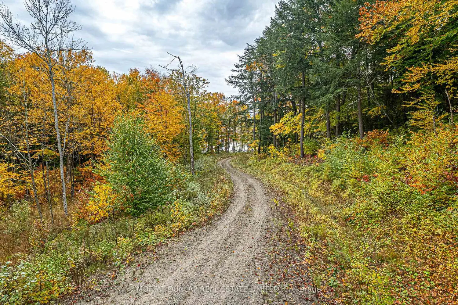 Additional image 6 of Lot 21 Flatwater Cove Trail