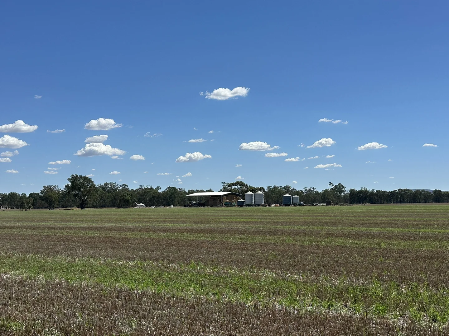 Additional image 2 of 1501 Howlong-Goombargana Road, Brocklesby NSW 2642