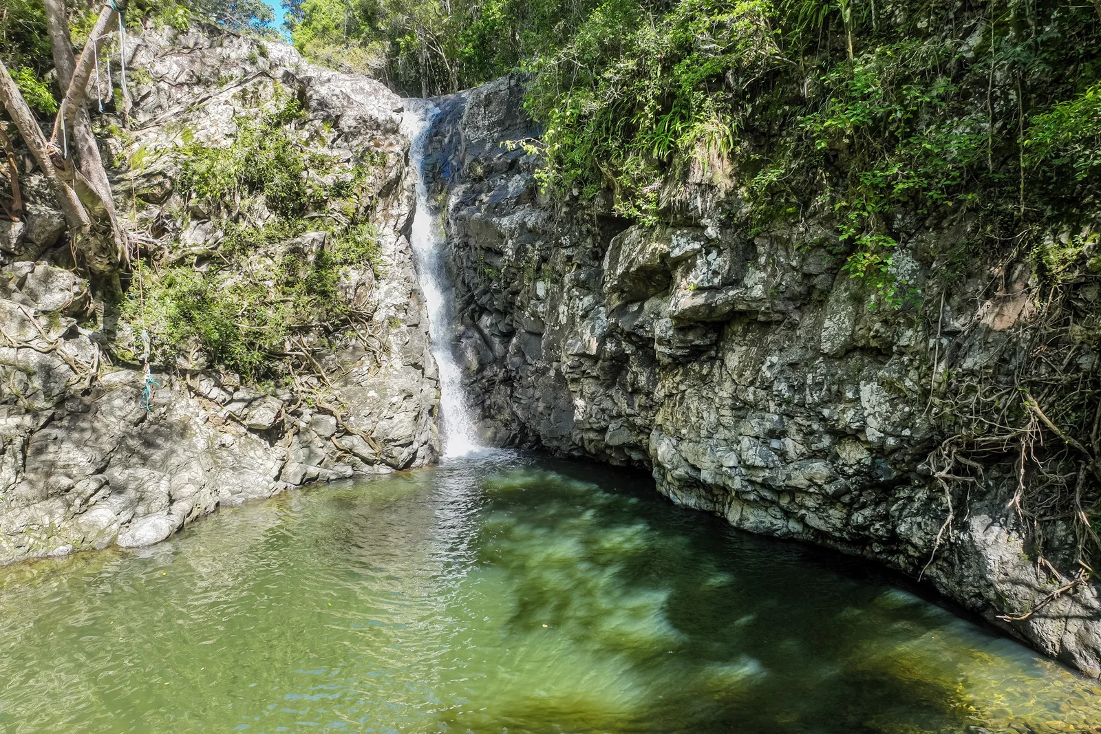 Additional image 9 of 85 Ruwoldts Road, West Woombye QLD 4559