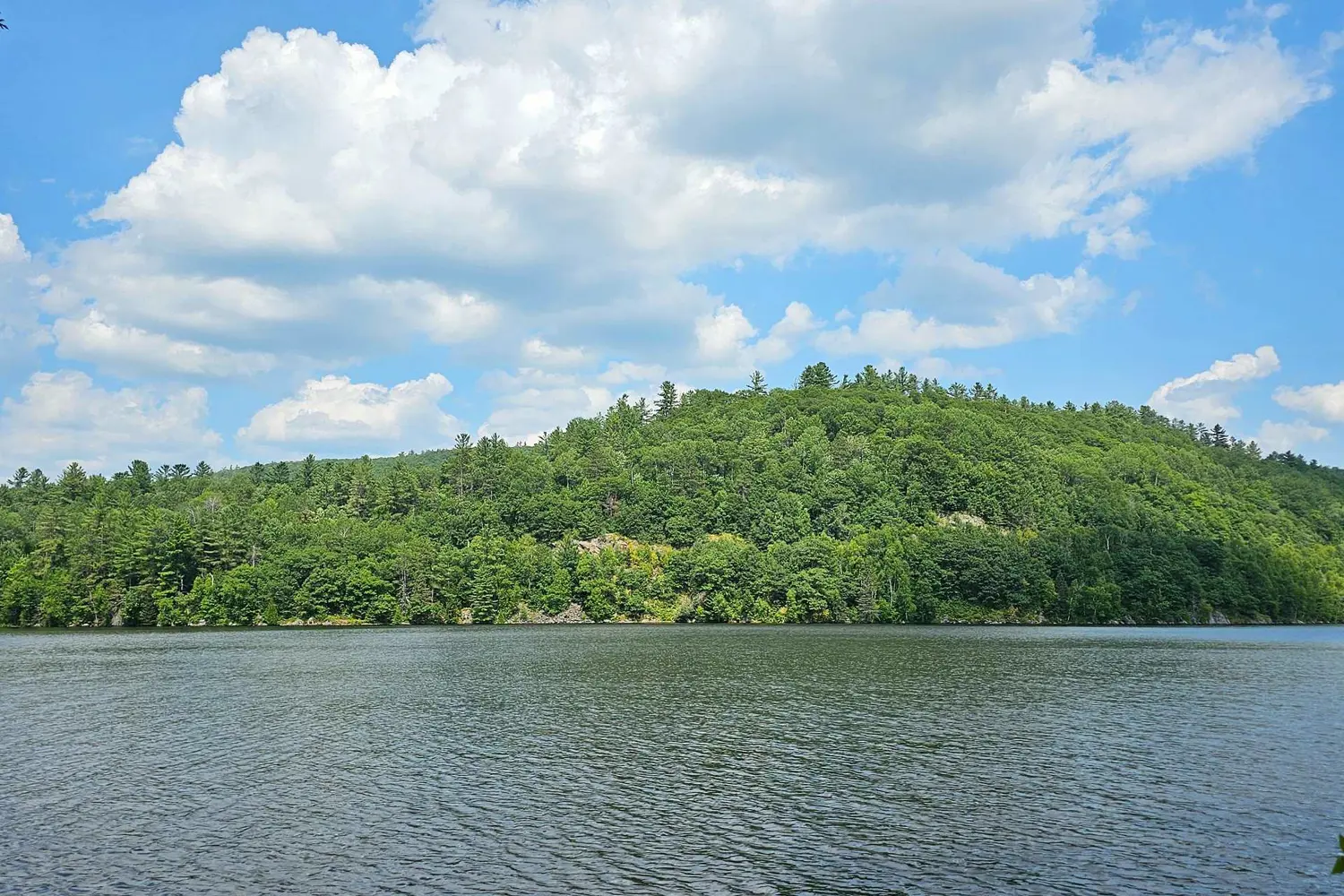 1267 Snake Creek Road photo 3