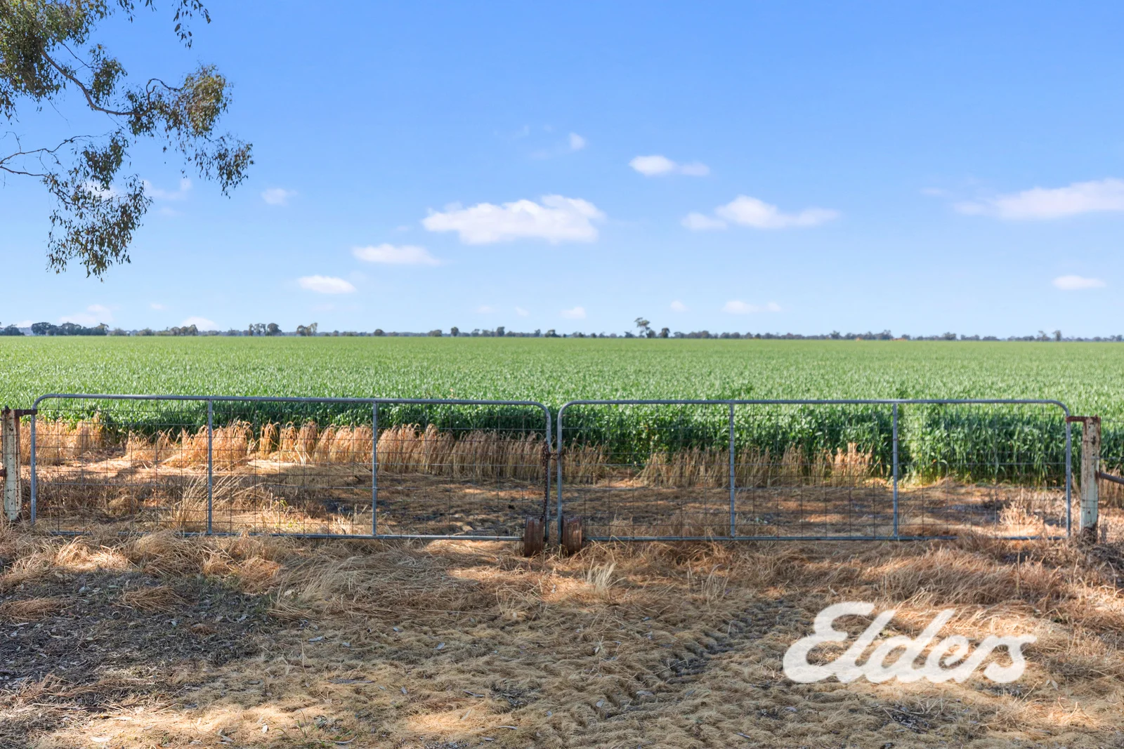 Additional image 23 of 235 Clearview Road, Savernake NSW 2646