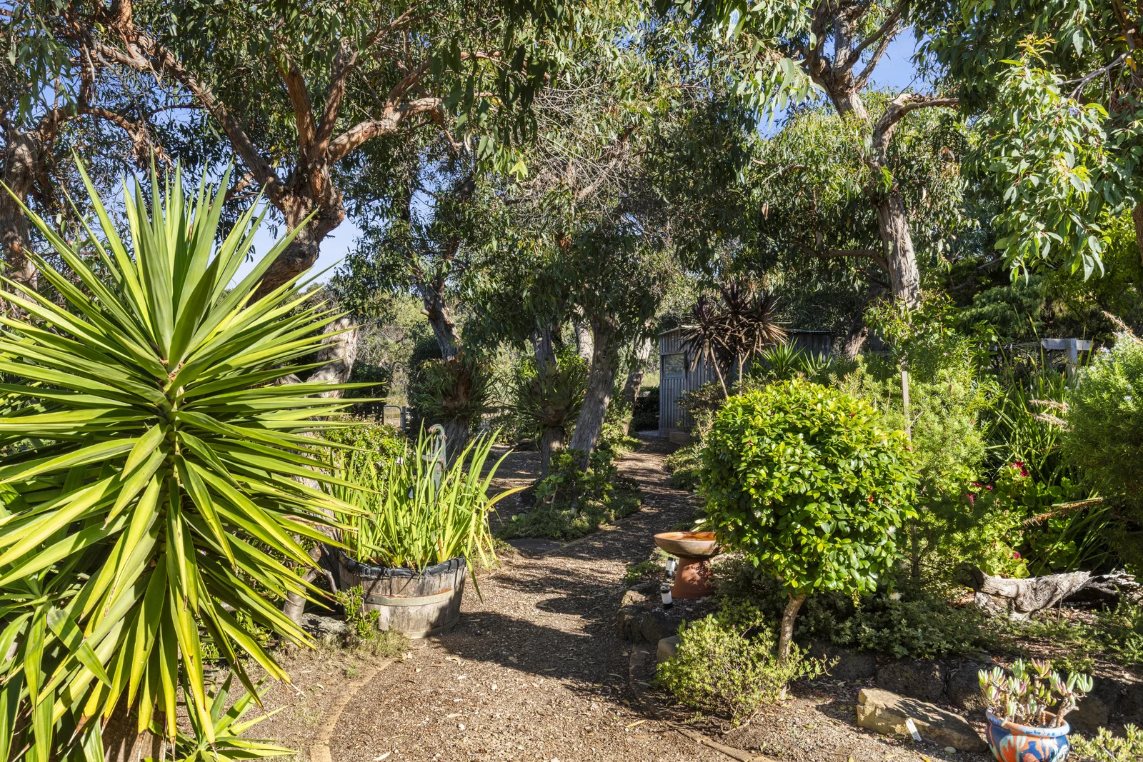 Additional image 17 of 38 O'Donohue Road, Anglesea VIC 3230