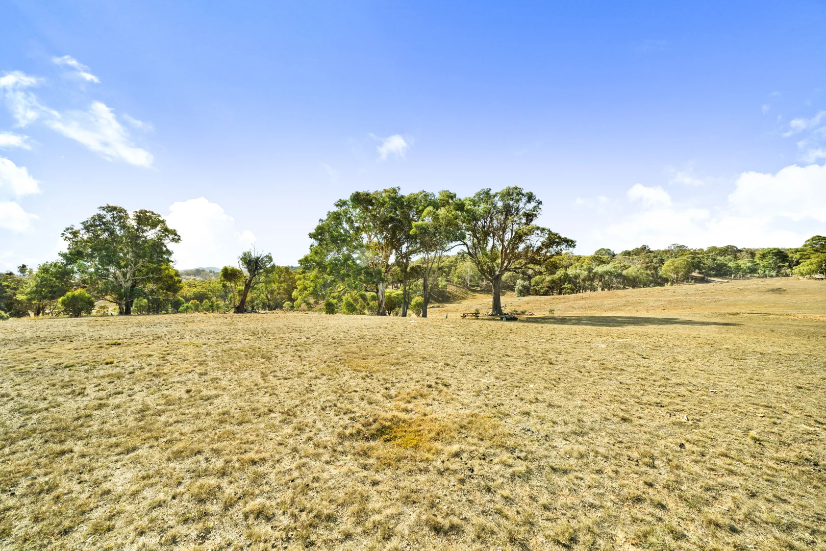 Additional image 23 of 687 Murrumbateman Road, Nanima NSW 2582