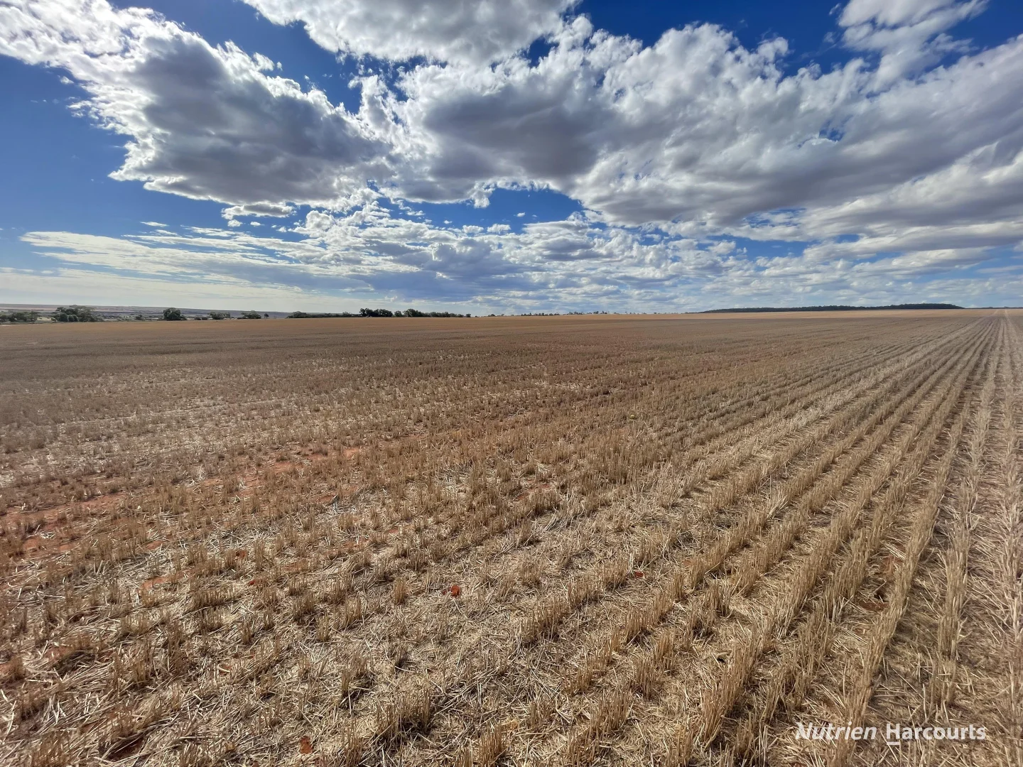Additional image 3 of . McRoberts Road, Tenindewa WA 6632