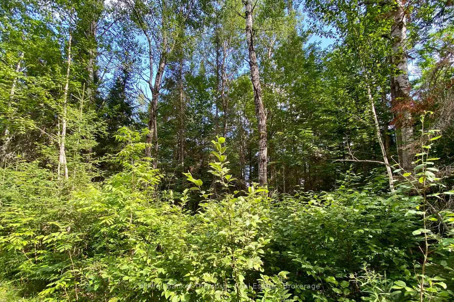 Additional image 10 of 0 Conc. Rd 10 And 11 Concession