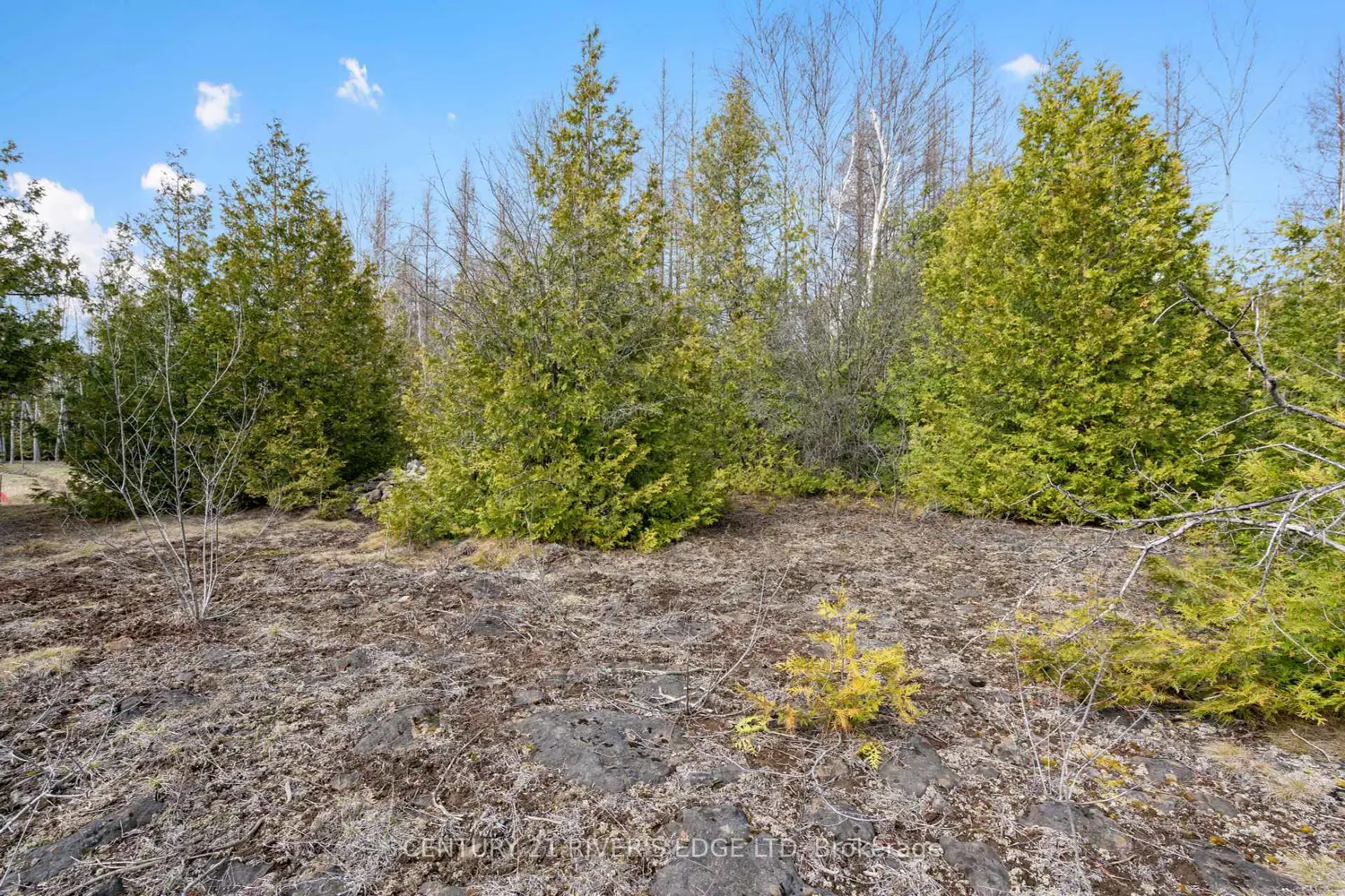 Additional image 13 of 308 Forbes Road