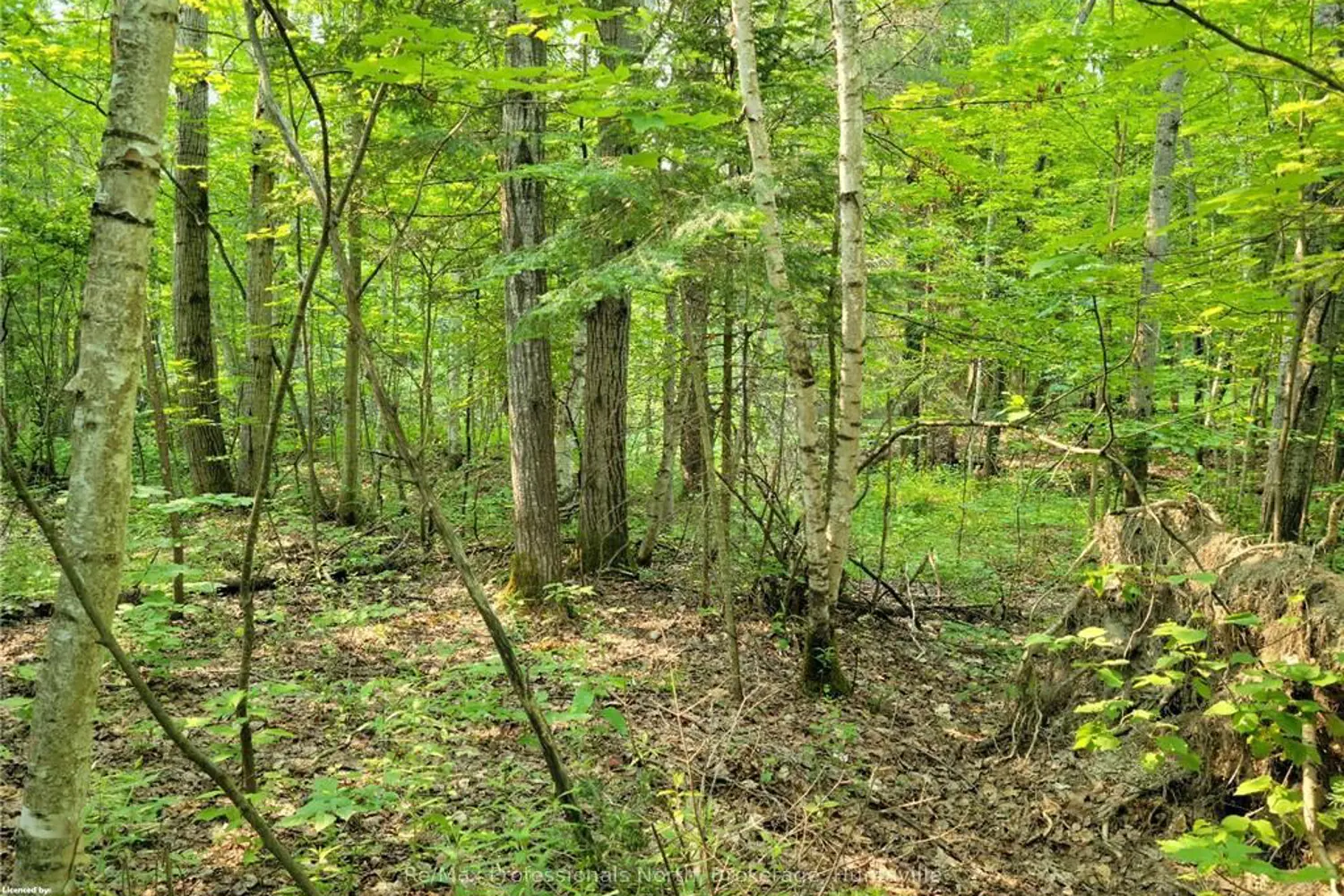 29 Mount Vernon Trail 29 photo 3