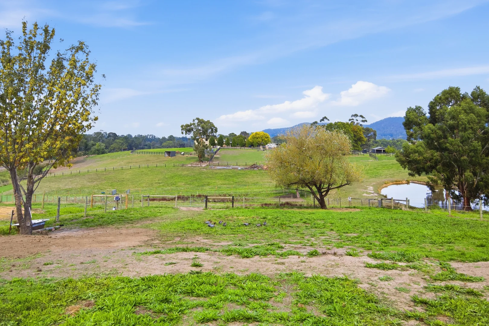 Additional image 14 of 24 Oliver Street, Yarra Glen VIC 3775