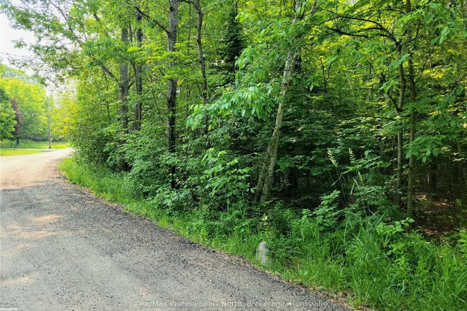 29 Mount Vernon Trail 29 photo 2