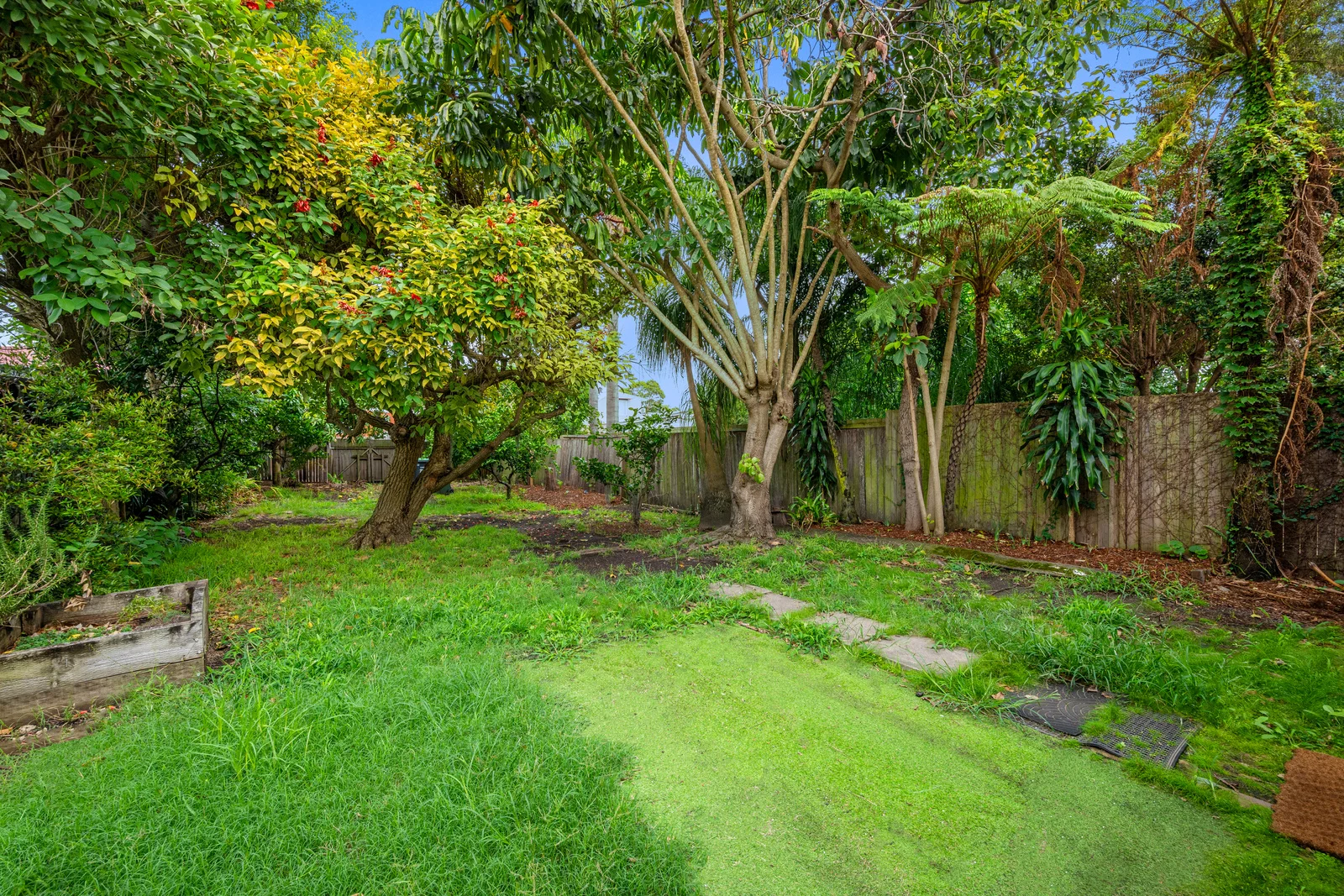 Additional image 8 of 13 Hugh Street, Ashfield NSW 2131