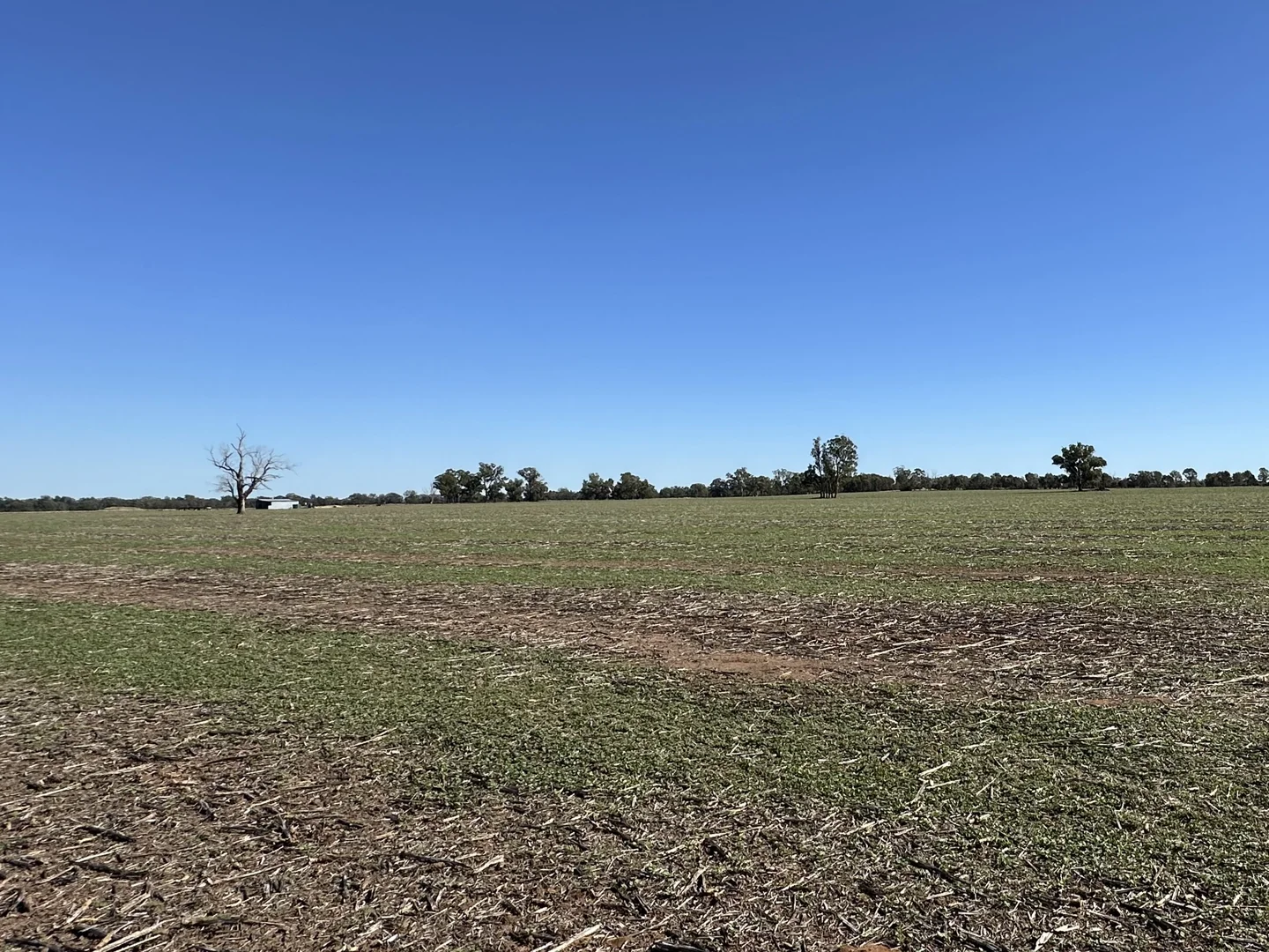 Additional image 6 of . Lilydale Road, Balldale NSW 2646