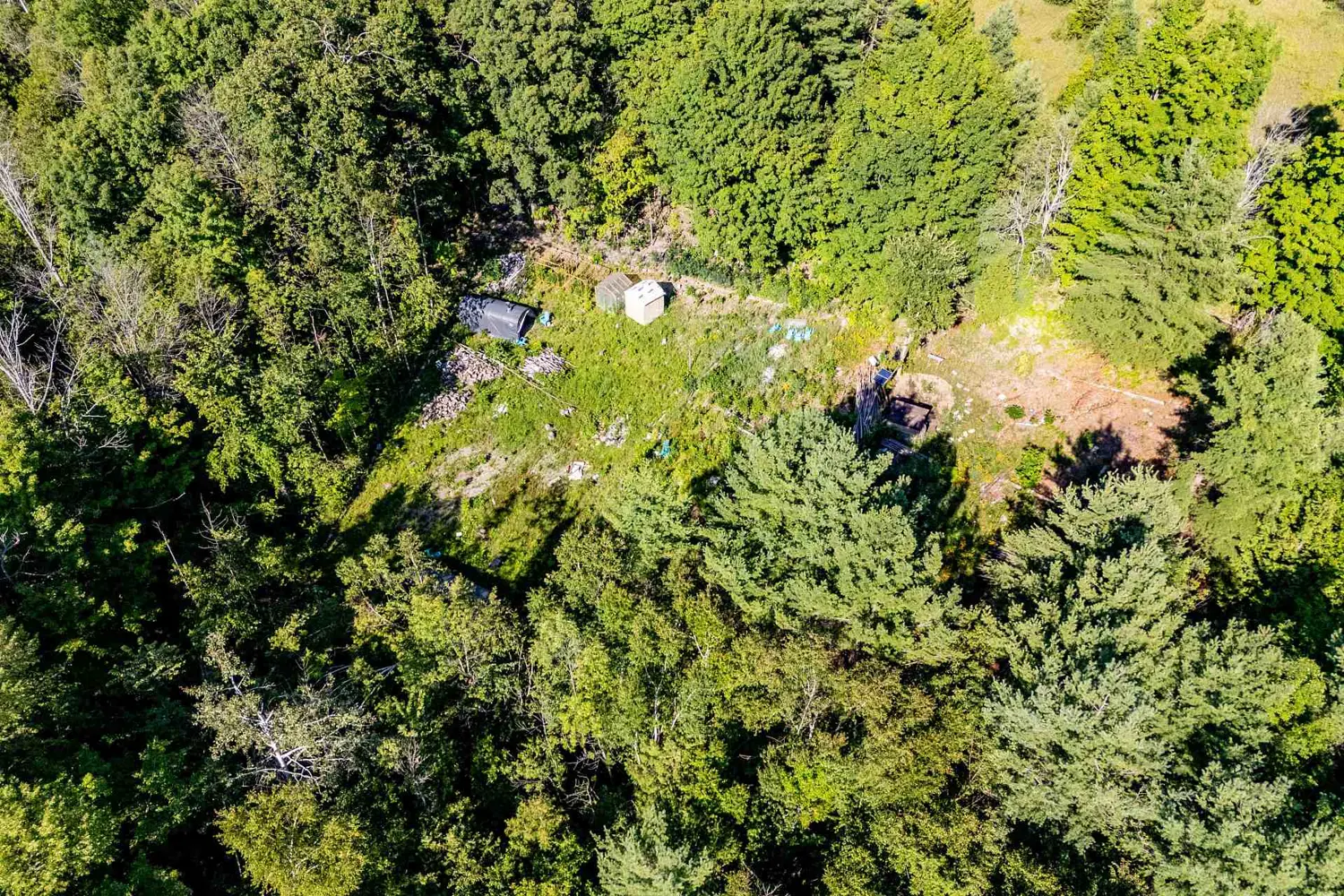 114 Baxter Road photo 3