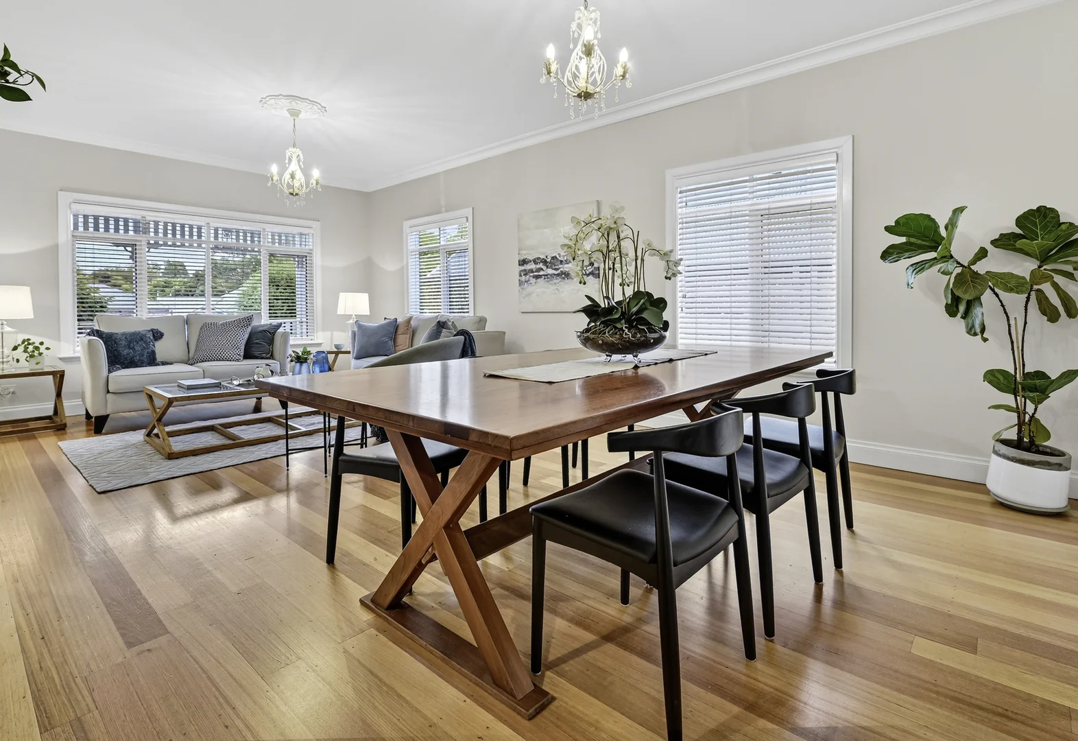 Additional image 4 of 19 Larch Street, Blackburn VIC 3130