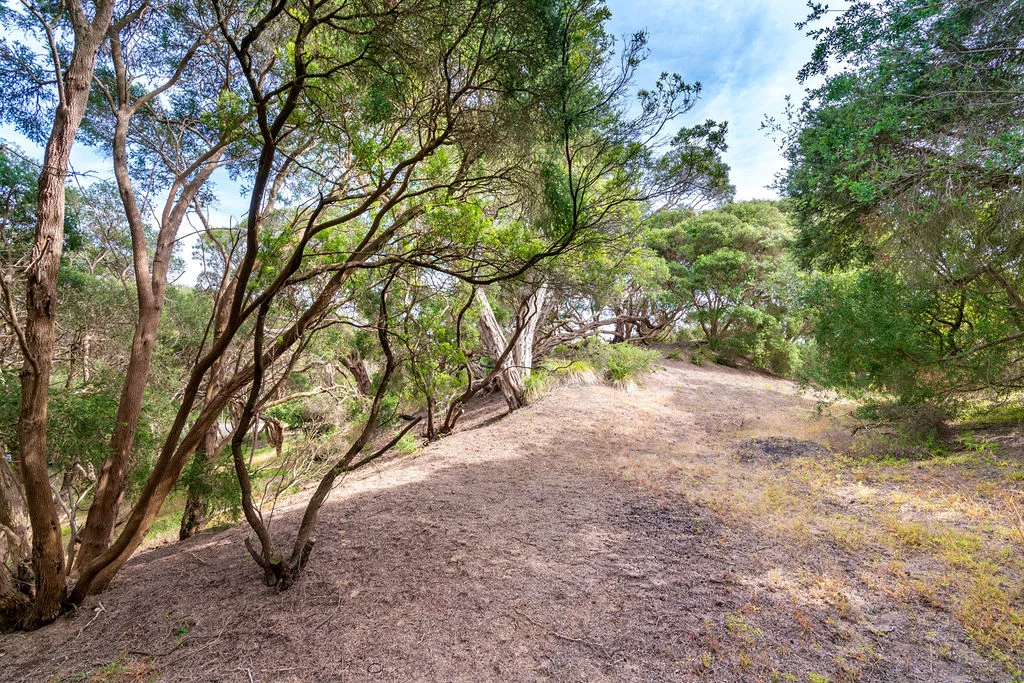 Additional image 3 of 13 Percy Street, Rye VIC 3941